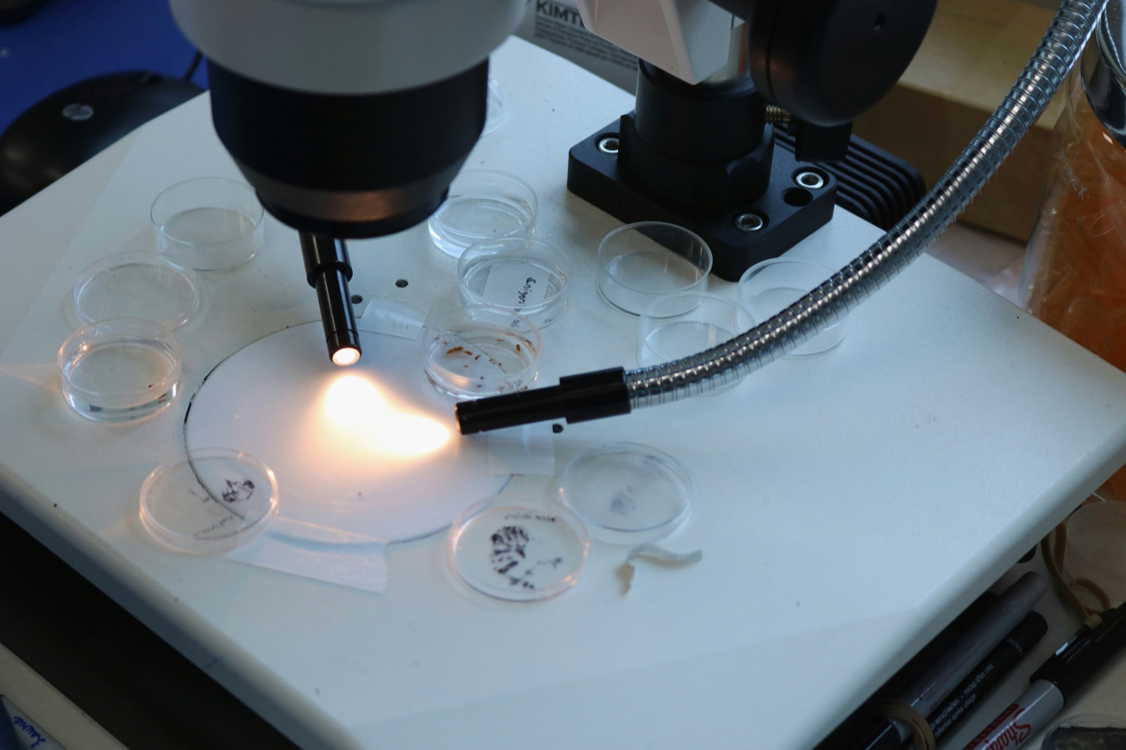 Precision optical manufacturing for Incure LGT-Series™ lightguide terminator optical component bonding